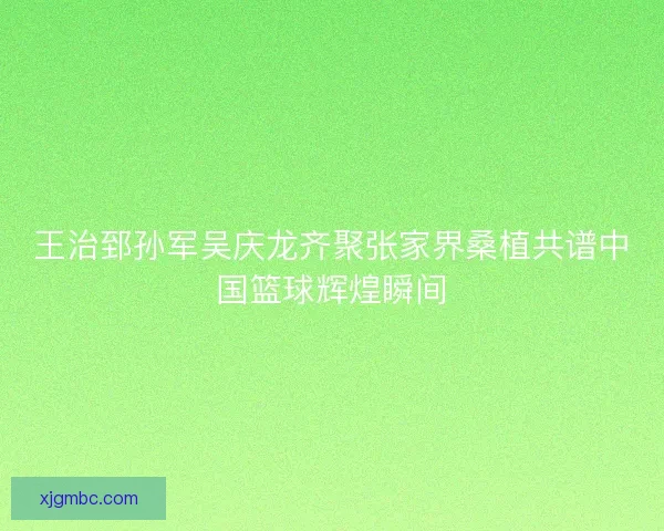 王治郅孙军吴庆龙齐聚张家界桑植共谱中国篮球辉煌瞬间