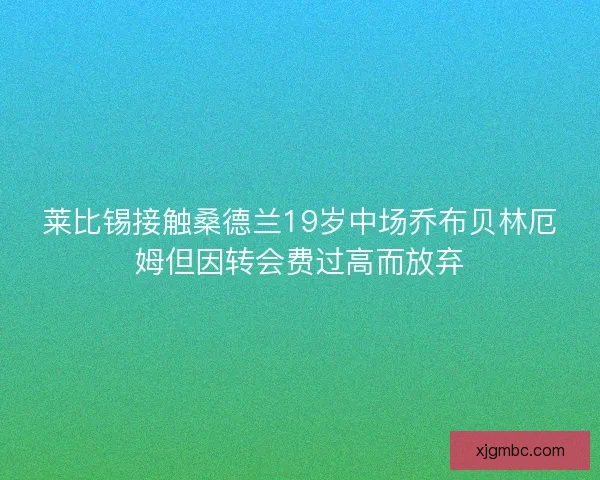 莱比锡接触桑德兰19岁中场乔布贝林厄姆但因转会费过高而放弃 莱比锡接触桑德兰19岁中场乔布贝林厄姆但因转会费过高而放弃