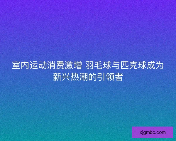 室内运动消费激增 羽毛球与匹克球成为新兴热潮的引领者