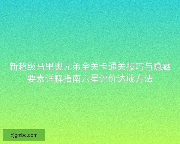 新超级马里奥兄弟全关卡通关技巧与隐藏要素详解指南六星评价达成方法
